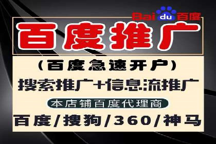 行业标杆：SEM托管公司案例解析